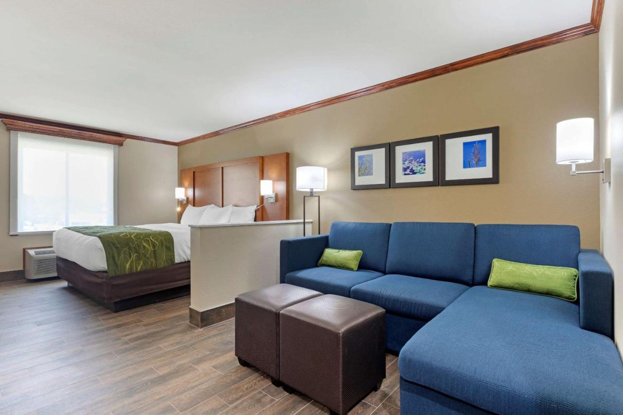 Comfort Suites West Monroe Near Ike Hamilton Expo Center Exteriér fotografie